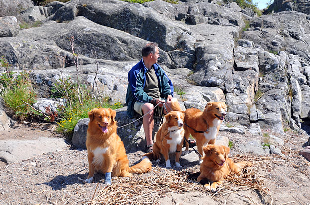 Roger with all the dogs