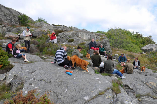 Delar av gruppen